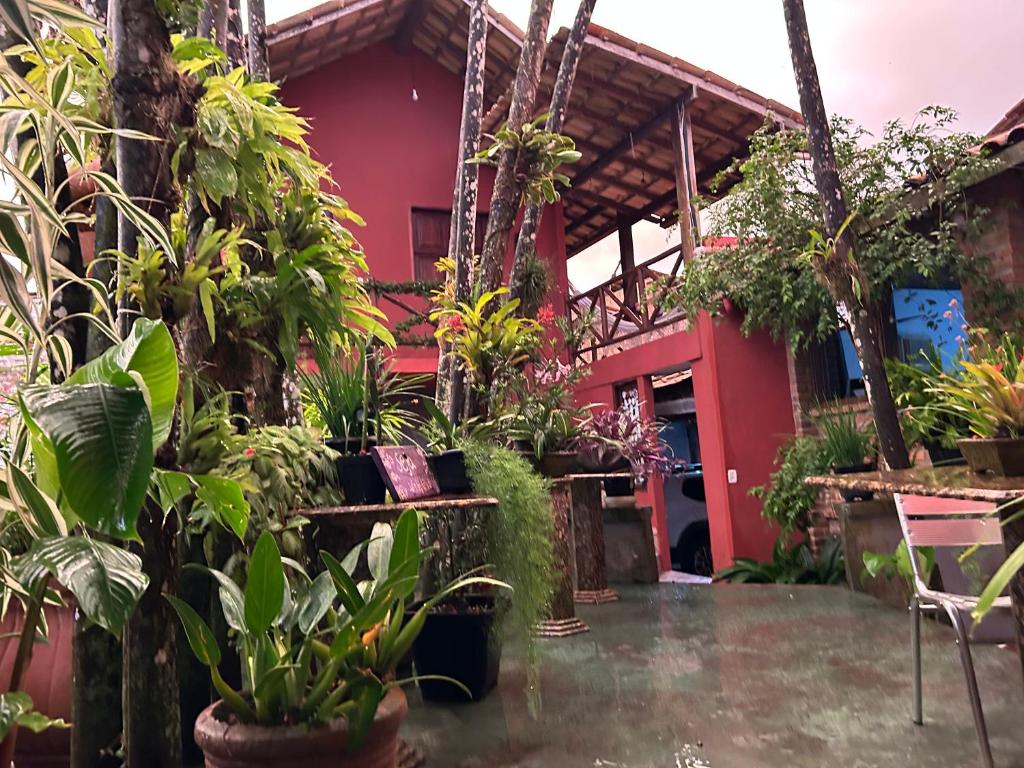 Um jardim em Pousada Estrela Itacaré