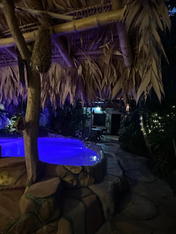 Bazén v ubytování Cahuita Vibe nebo v jeho okolí