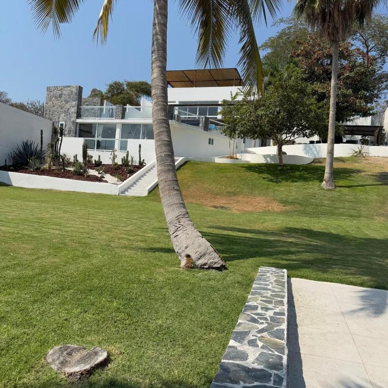 a dog laying in the grass next to a palm tree at House Belle Vue, Tequesquitengo in Tequesquitengo