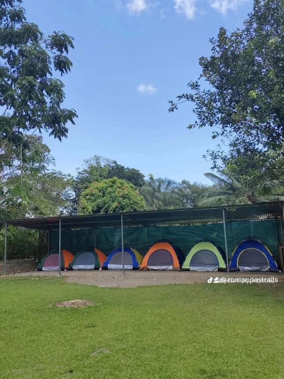 Fotografie z fotogalerie ubytování Glamping y Camping Zompopas Trails Costa Rica v destinaci Puerto Jiménez