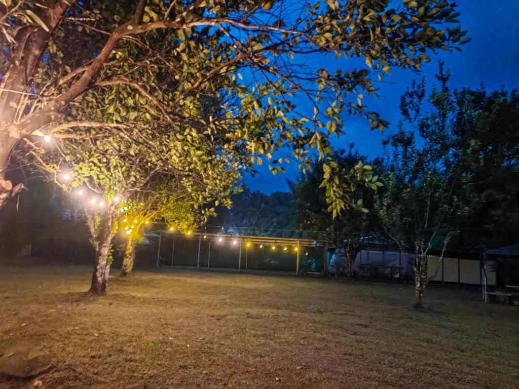 Zahrada ubytování Glamping y Camping Zompopas Trails Costa Rica
