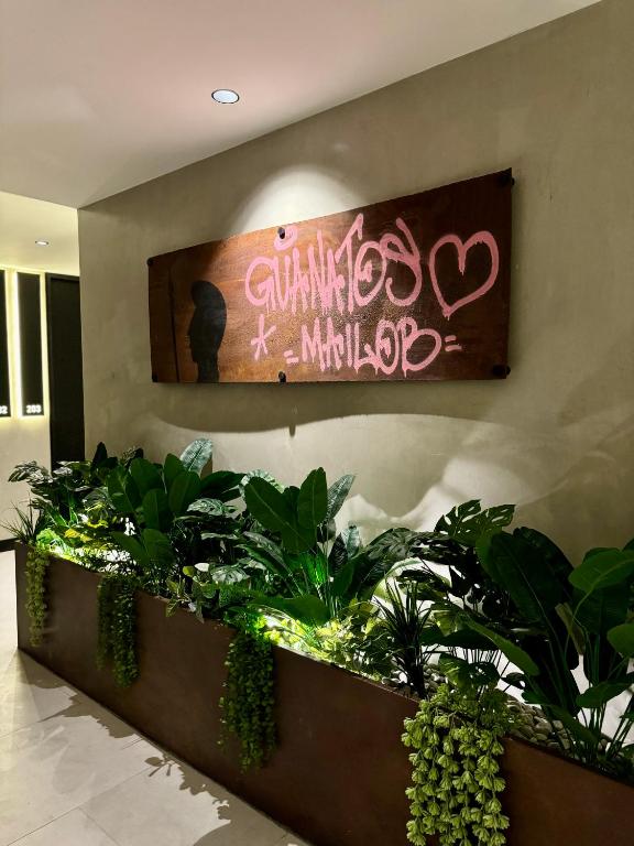 Fotografie z fotogalerie ubytování Hotel Aló Degollado v destinaci Guadalajara