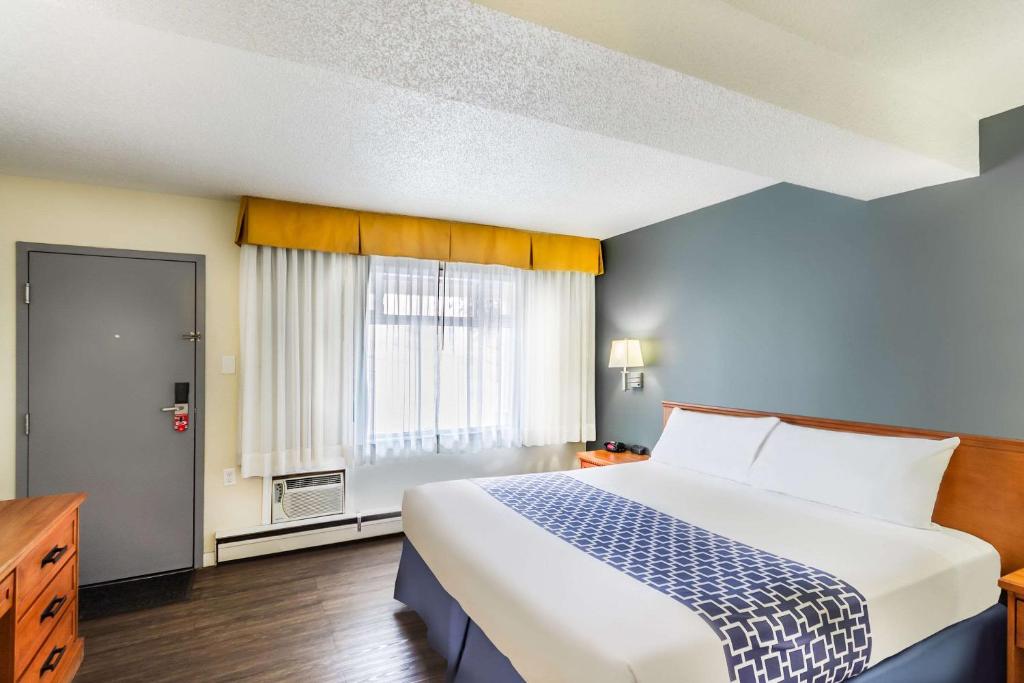 Postel nebo postele na pokoji v ubytování Econo Lodge Inn & Suites University