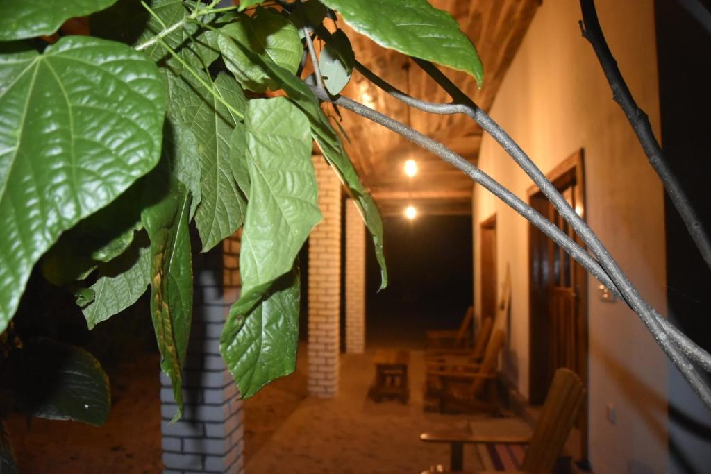 Fotografie z fotogalerie ubytování Kadjan villa v destinaci Arugam Bay