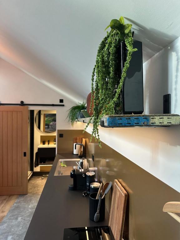 Stay at Posh Garage 3