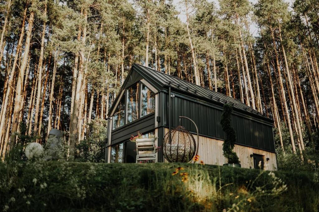 czarno-biały domek w lesie w obiekcie Domek Energia w mieście Borków