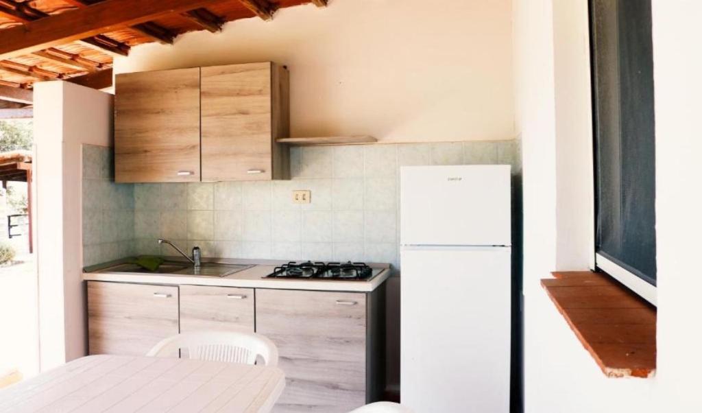 Kuchyň nebo kuchyňský kout v ubytování Residence Punta Cilento