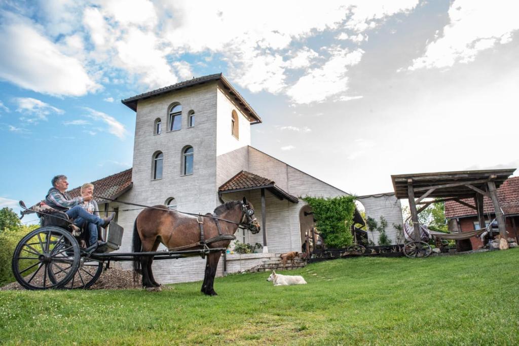 Jízda na koni v apartmánu nebo okolí