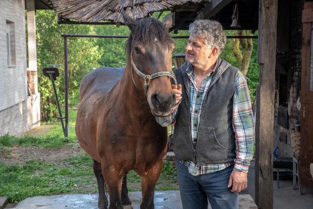 Zvířata v apartmánu nebo okolí