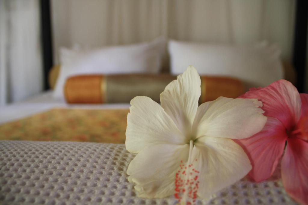 Sea Pines & Liberg - 13