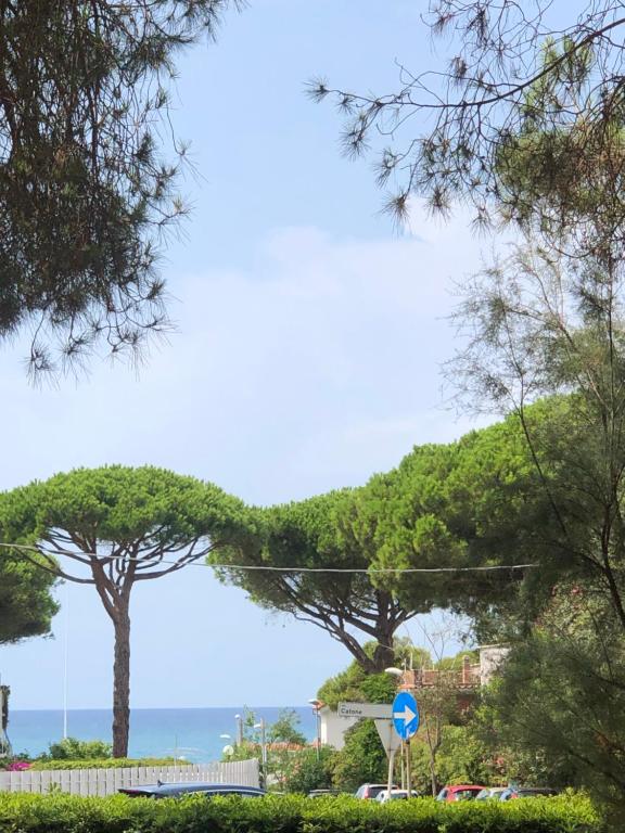 a view of the ocean from a street with trees at Chira House in Santa Marinella