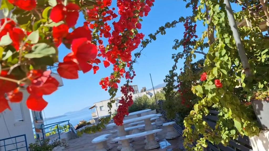 Leon Hotel Sarande
