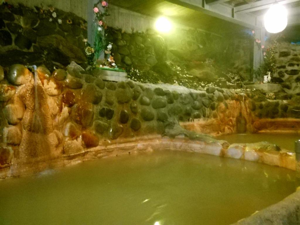 a bath tub filled with green water next to a stone wall at Cocos Hot Spring Hotel in Ruisui