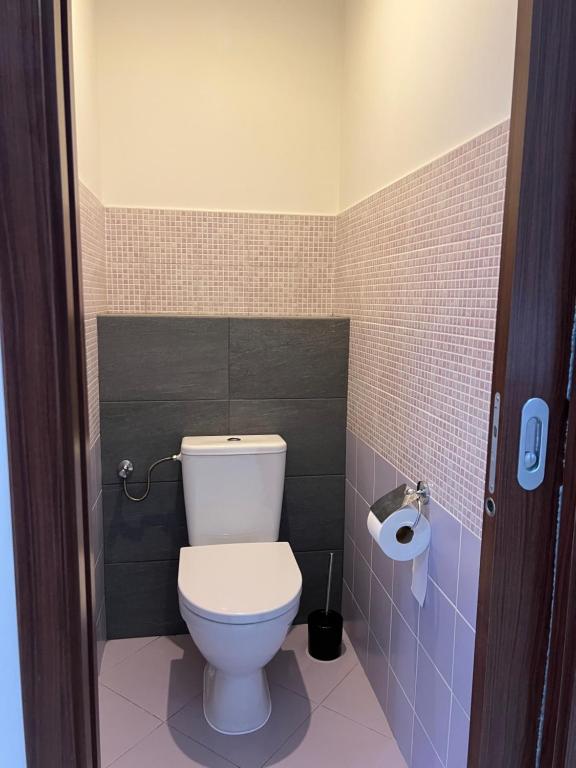 Koupelna v ubytování Podkrovní apartmán se společným bazénem