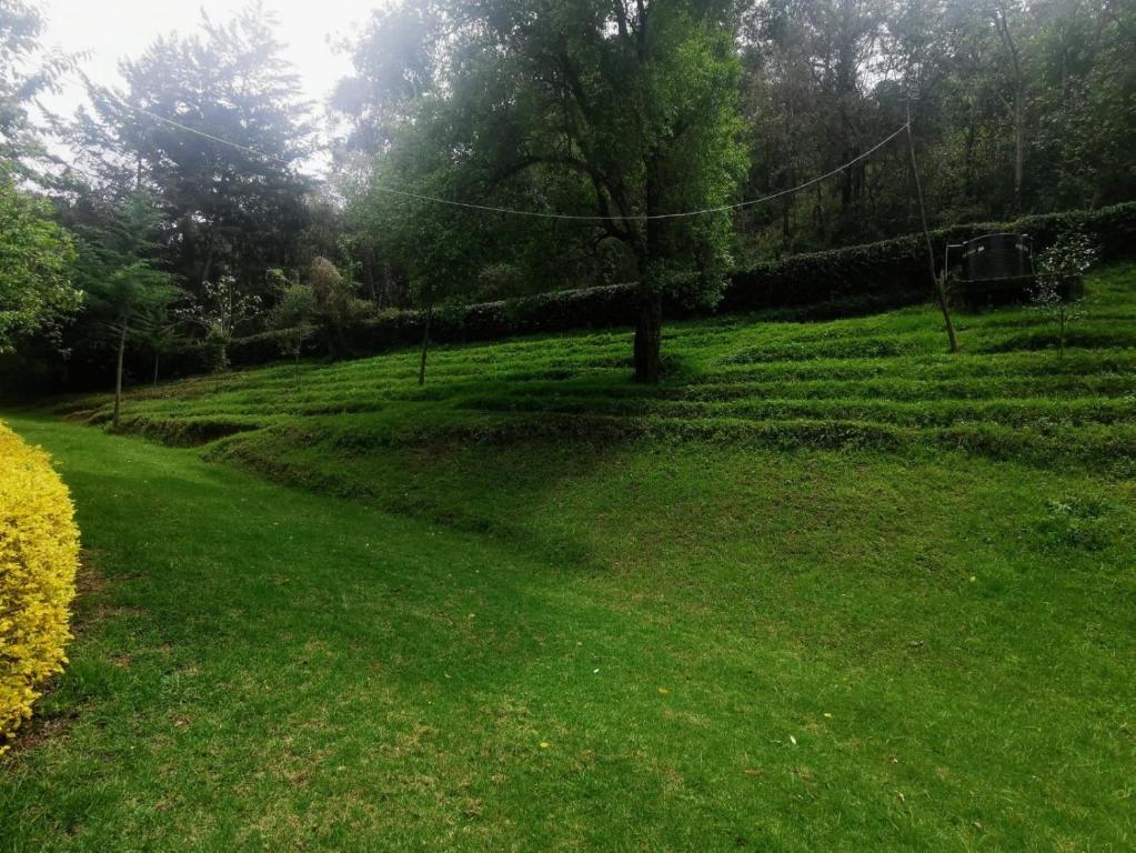 Zahrada ubytování ECOVALE-KIJABE