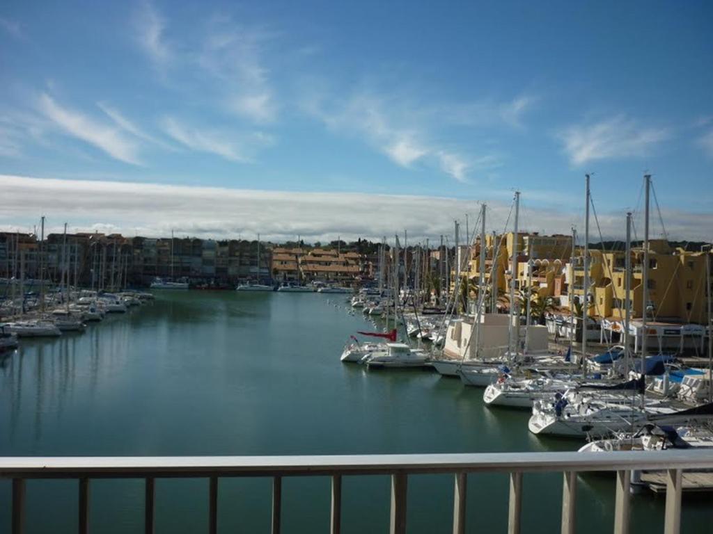 un groupe de bateaux amarrés dans un port de plaisance dans l'établissement Studio cosy avec loggia et parking privé - Proche port et commerces - FR-1-784-19, à Gruissan