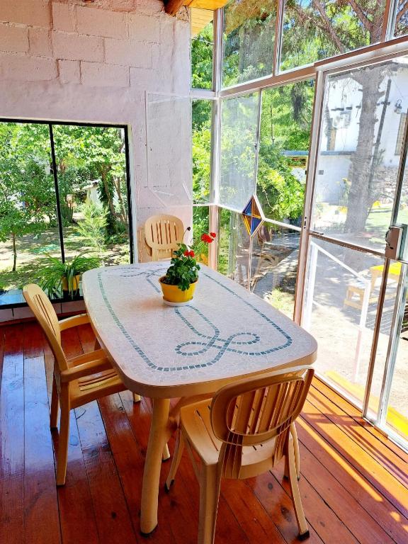 a dining room table with chairs and a plant on it at ALOJAMIENTO SERRANO in Villa Giardino