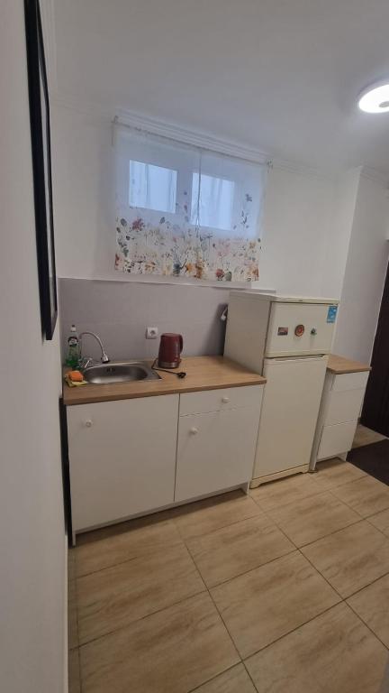 Kuchyň nebo kuchyňský kout v ubytování Camere Anita