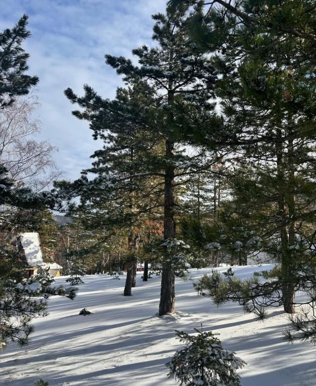 Apartman Kala Divčibare durante o inverno