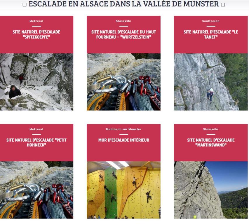 MUNSTER camping de la FECHT – photo 20