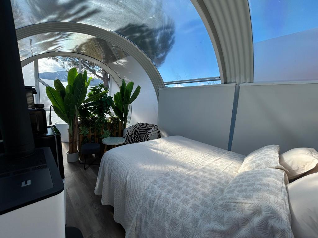 Sky Dreams Experience Suite Rivera - imagen 2