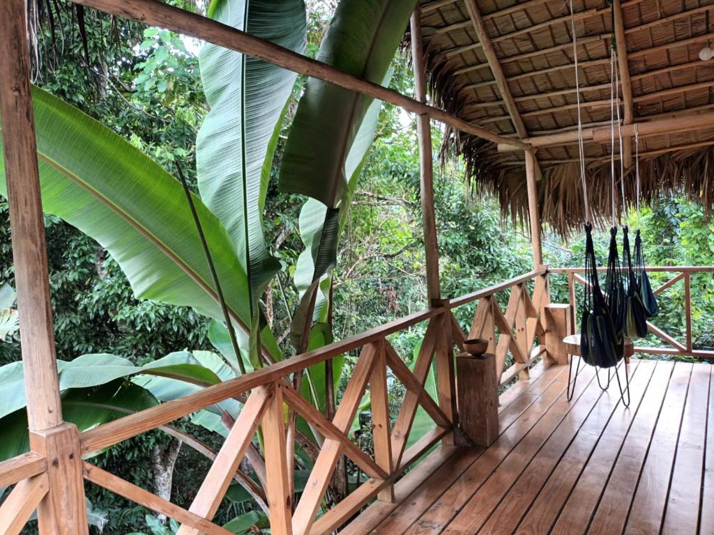 Zahrada ubytování Samo Eco Lodge