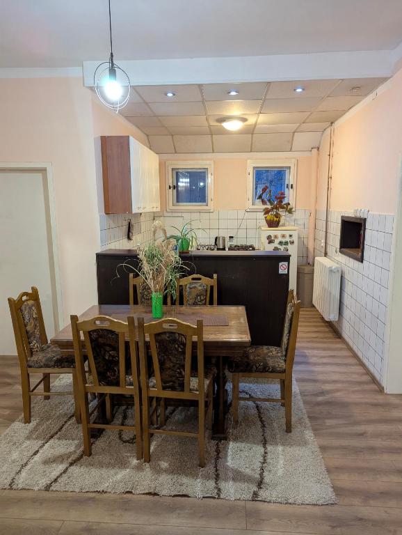 Kuchyň nebo kuchyňský kout v ubytování Apartman Dunja i Miloš