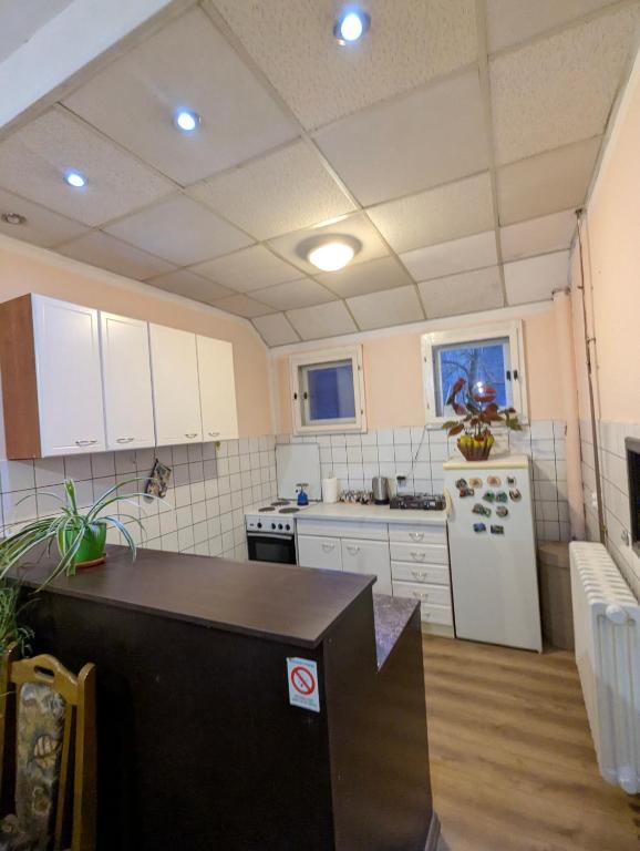 Kuchyň nebo kuchyňský kout v ubytování Apartman Dunja i Miloš