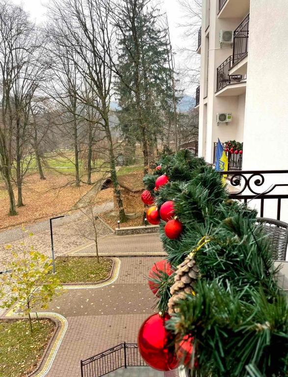 Zahrada ubytování Кайзервальд Карпати