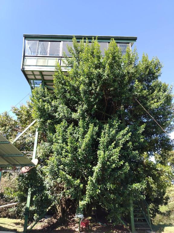Zahrada ubytování Casa árbol