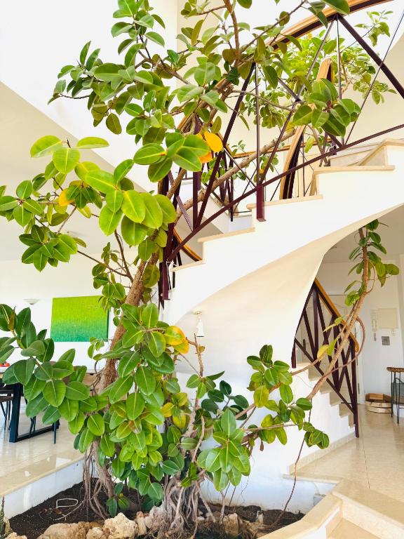 Vonkajšia záhrada v ubytovaní Spacious villa in Altea Hills