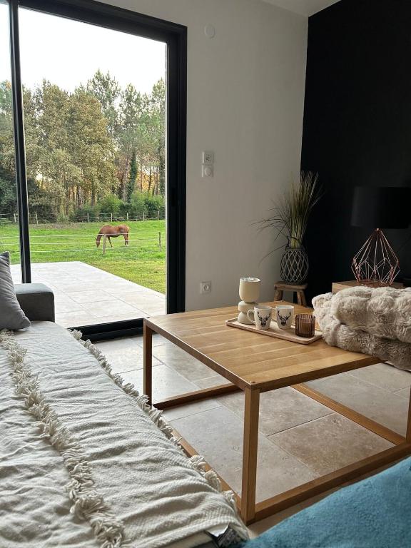 un salon avec une table basse et un cheval à l'extérieur dans l'établissement Maison dans les bois, à Lacquy