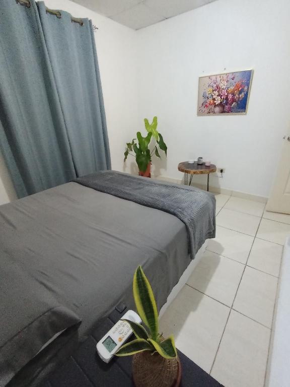 Voodi või voodid majutusasutuse Copey house Chiriquí, vía hacia Volcán toas