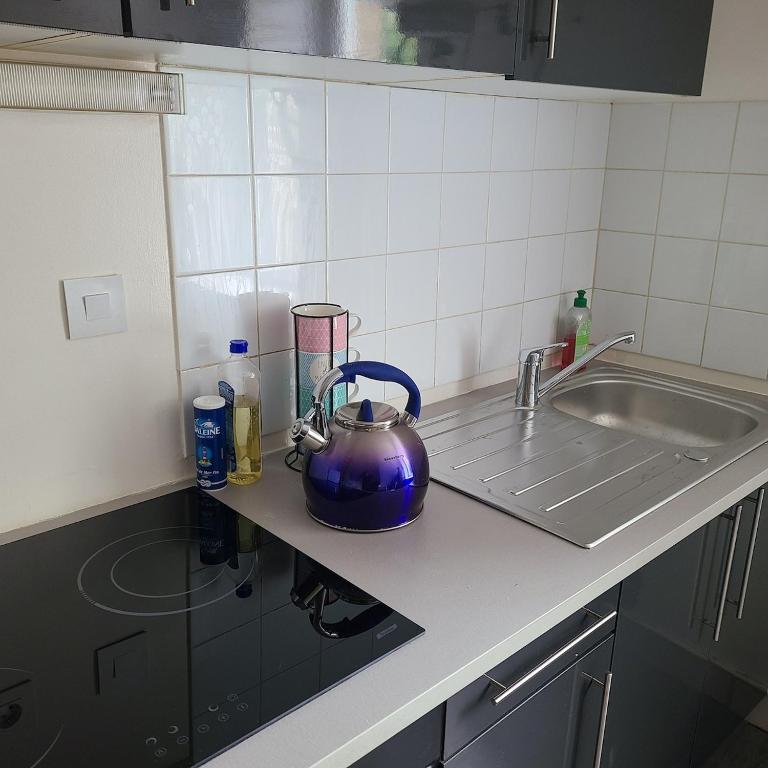 - un comptoir de cuisine avec une bouilloire pourpre dans l'établissement Duplex Brest Pilier Rouge, à Brest