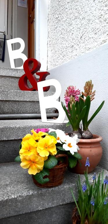 Foto sihtkohas Pratteln asuva majutusasutuse B&B Kalimera Pratteln galeriist