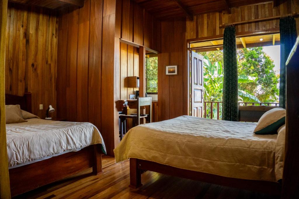 Hotel Flor de Bromelia - Coati