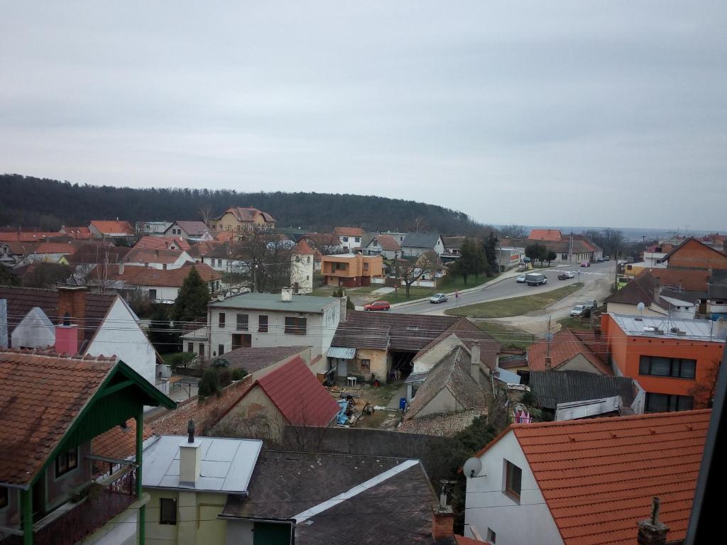 Příroda nedaleko hostelu