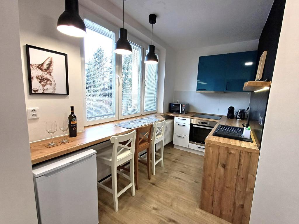 Kuchyň nebo kuchyňský kout v ubytování Apartman Point