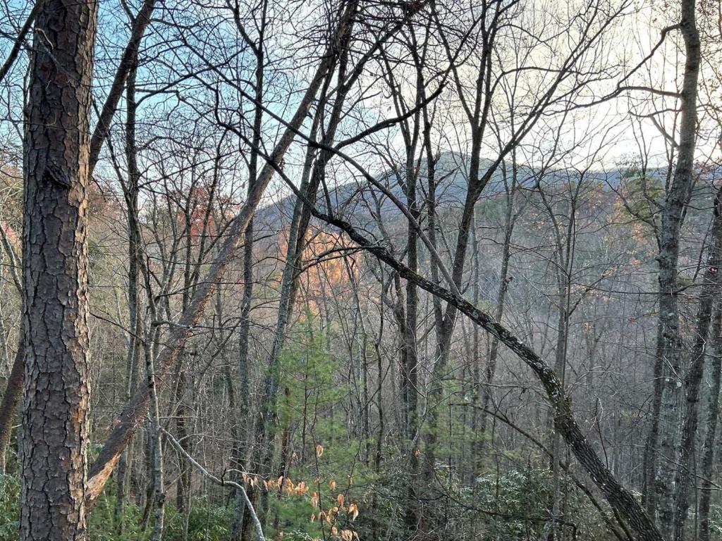 a wooded area with trees and mountains in the background at Little Pine Lodge a Smokies Hideaway - 1 mi to GSMNP - King Suite & Loft, Fireplace, Hot Tub & BEARS! in Sevierville