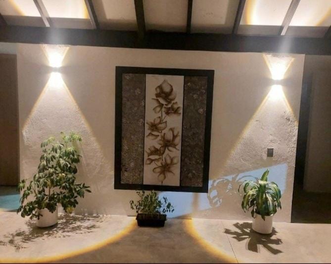 Fotografie z fotogalerie ubytování Nordika House - ideal para fotografía y descanso v destinaci Medellín
