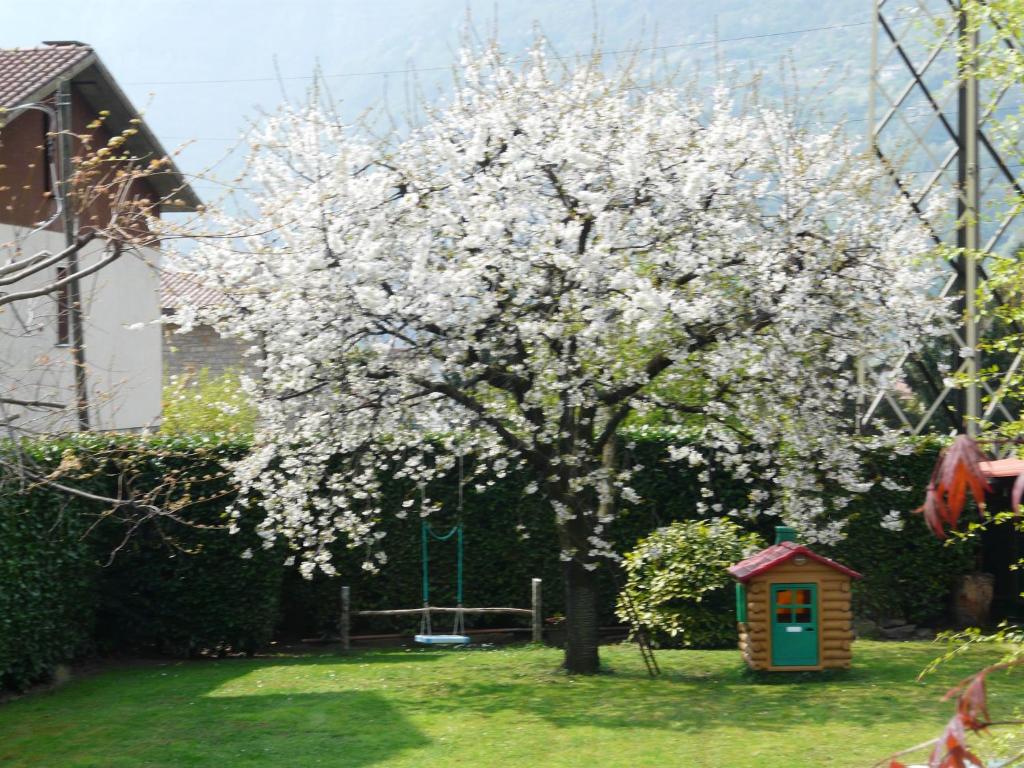 Zahrada ubytování La casa di Clara