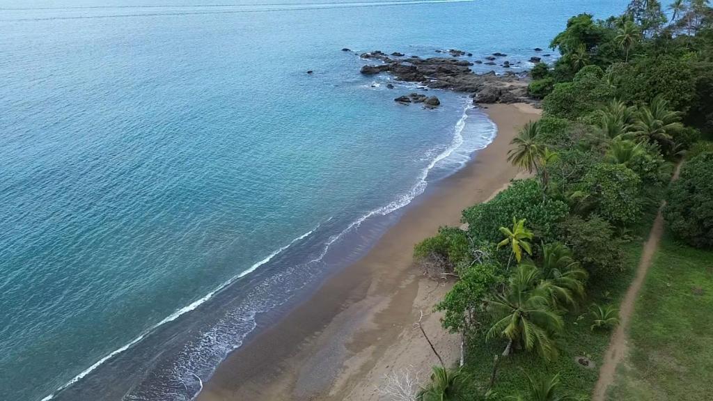 an aerial view of a beach next to the ocean at Cabins yafeth osa drake bay in Drake