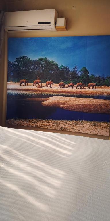 Příroda nedaleko hotelu