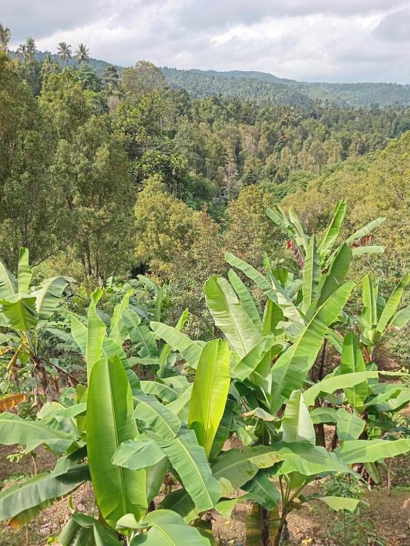 Kanaya Homestay & Warung Heaven - 19