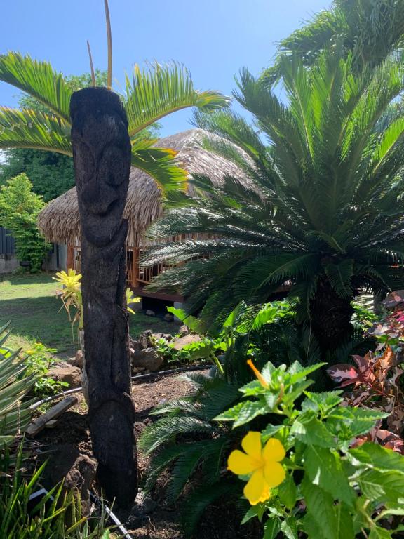 Aed väljaspool majutusasutust Tiki Ora Lodge - Tiki