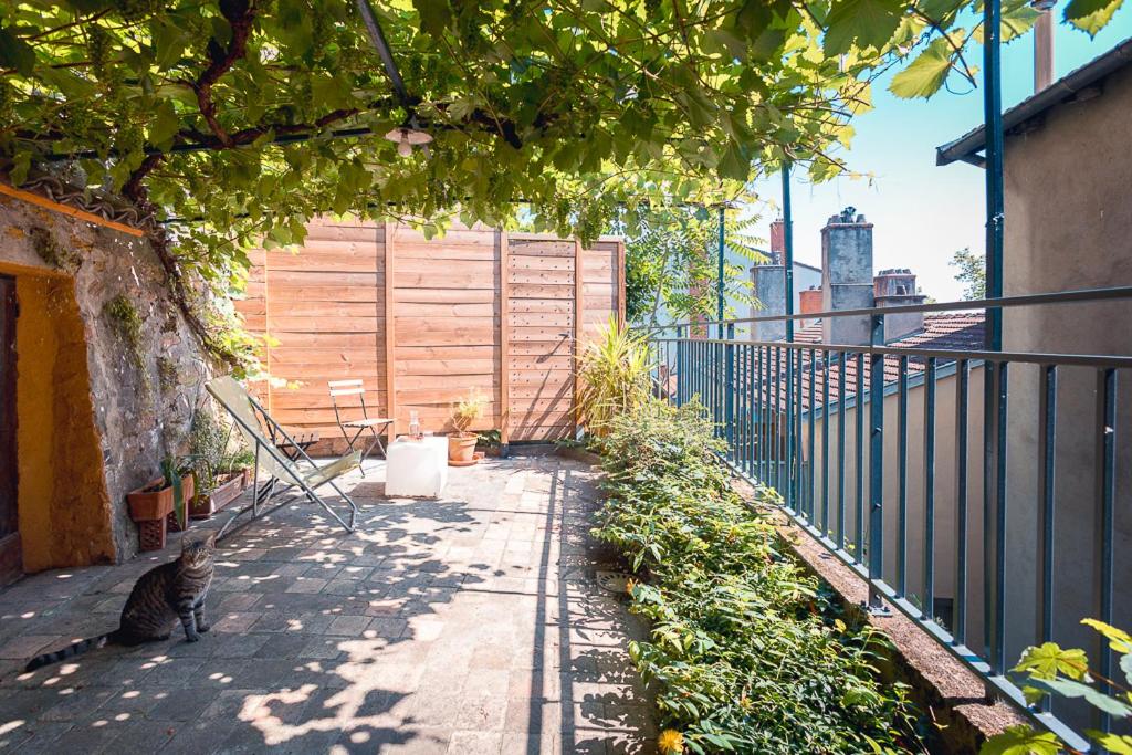 un chat assis sur un trottoir à côté d'une clôture dans l'établissement Appartement avec terrasse, à Lyon