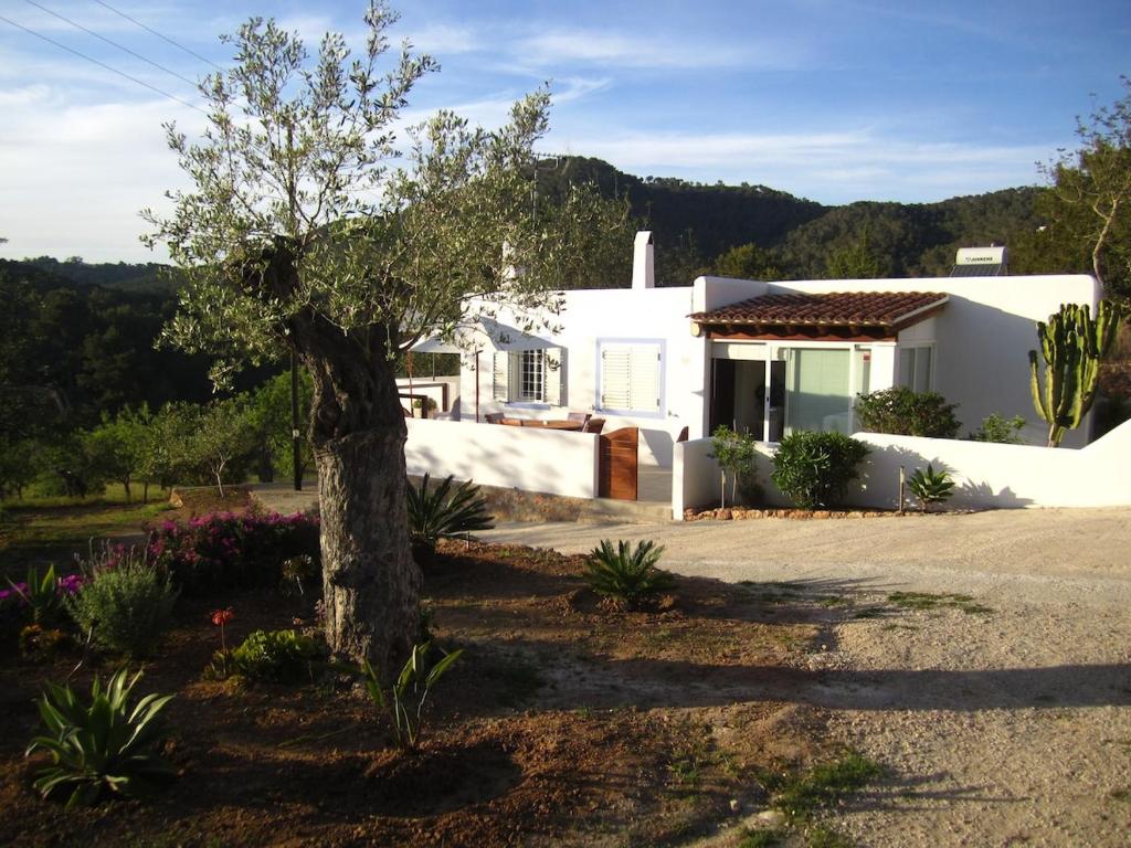 ein weißes Haus mit einem Baum davor in der Unterkunft Sa Tanca den Marines ETV 1272 E in Sant Carles de Peralta