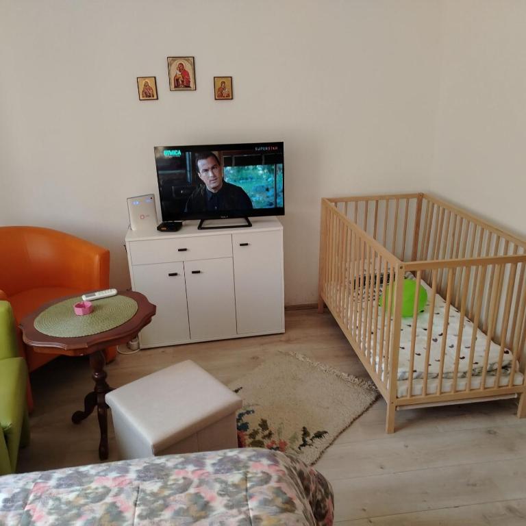 TV a/nebo společenská místnost v ubytování Vila Raj