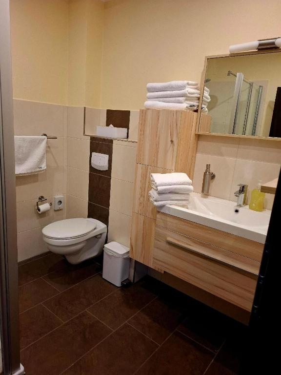 Koupelna v ubytování Haus Astenberg