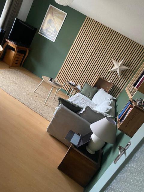 un salon avec un canapé et une chaise dans l'établissement pau appartement, à Pau